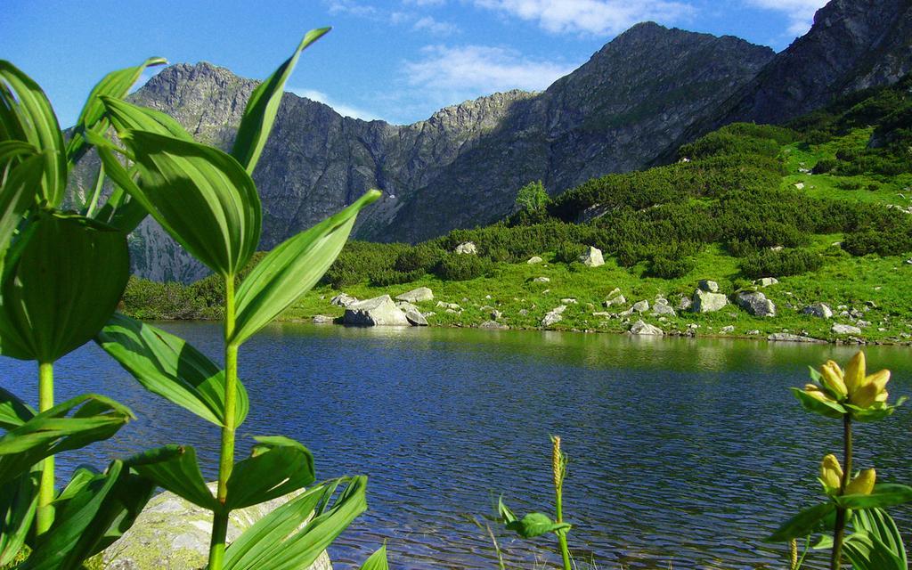 Legenda Tatr Apartman Zakopane Kültér fotó