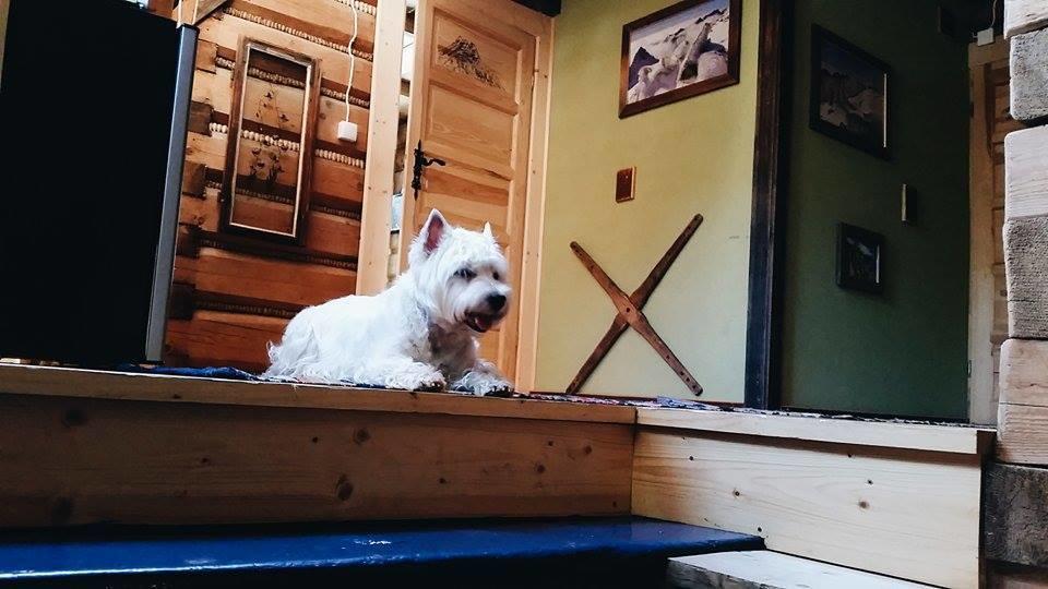 Legenda Tatr Apartman Zakopane Kültér fotó